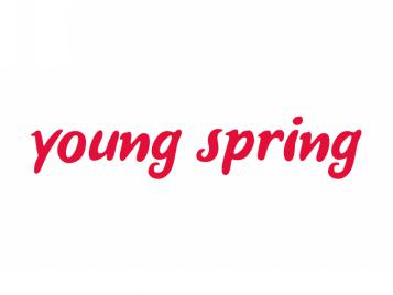 40330877YOUNG SPRING